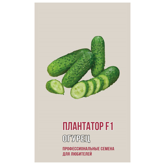 семена Огурец Плантатор F1 АГРОНИ 5шт