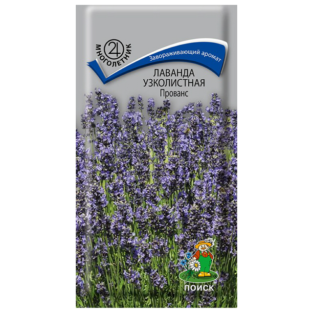 семена Лаванда узколистная Прованс ПОИСК 0,1г