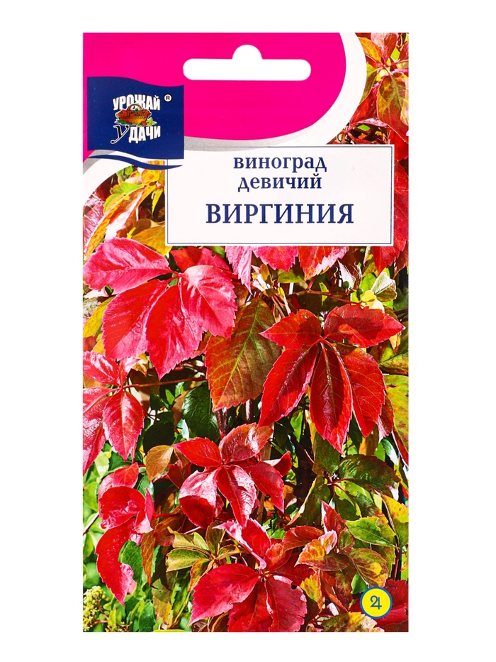 Семена Виноград девичий ВИРГИНИЯ 0,3 г.