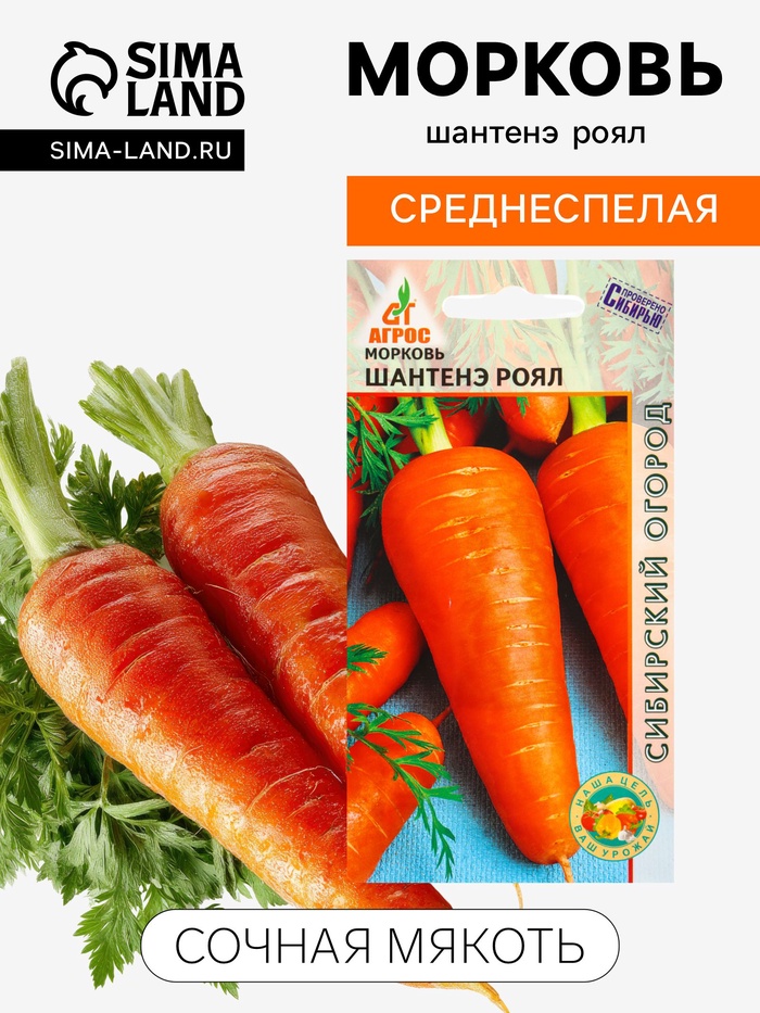 Семена Морковь «Шантенэ Роял», 1 г, «Агросс»