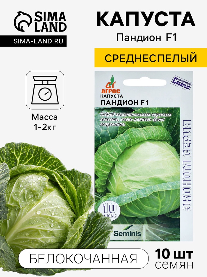 Семена Капуста белокочанная «Пандион», F1, 10 шт., «Агрос»