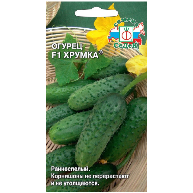 семена огурец Хрумка СЕДЕК F1 0,3г