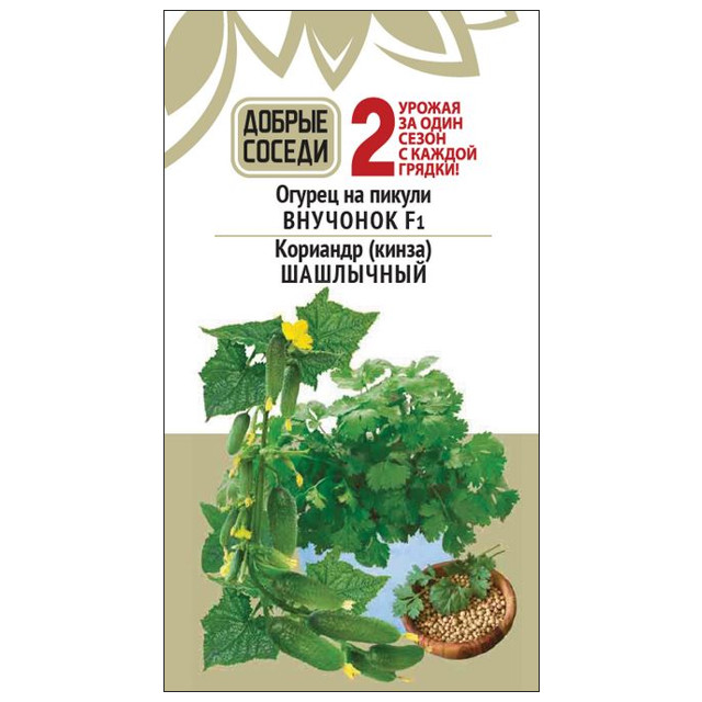семена огурец Внучонок F1 8шт Кориандр овощной Шашлычный 1 г