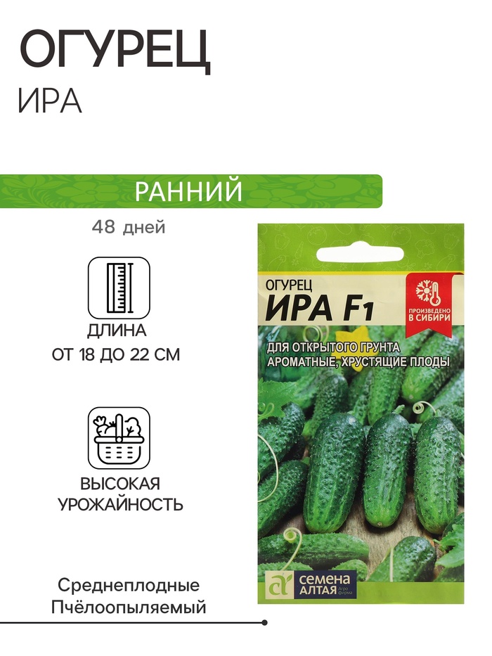 Семена Огурец 