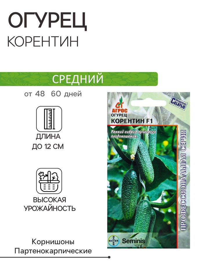 Семена Огурец F1 «Корентин», 8 шт., «Seminis-Агрос»