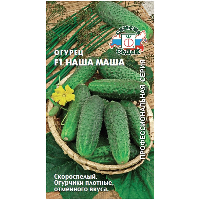 семена огурец Наша Маша СЕДЕК F1 скороспелый 0,2г