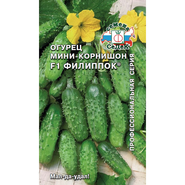 семена огурец Филиппок СЕДЕК F1, Евро, 0,3