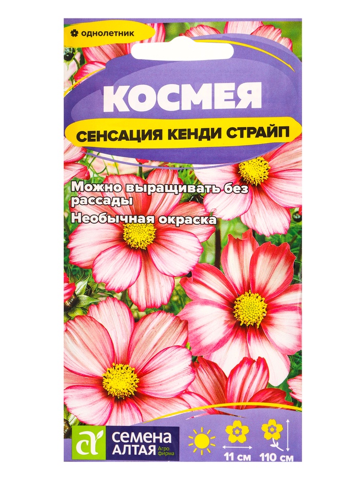 Семена цветов Космея «Сенсация Кенди Страйп», 0.3 г, «Семена Алтая»