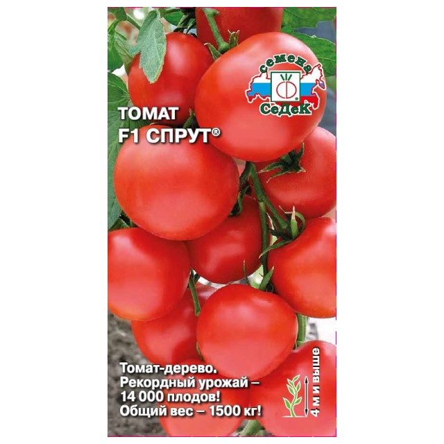 семена томат Спрут СЕДЕК F1 0,03г