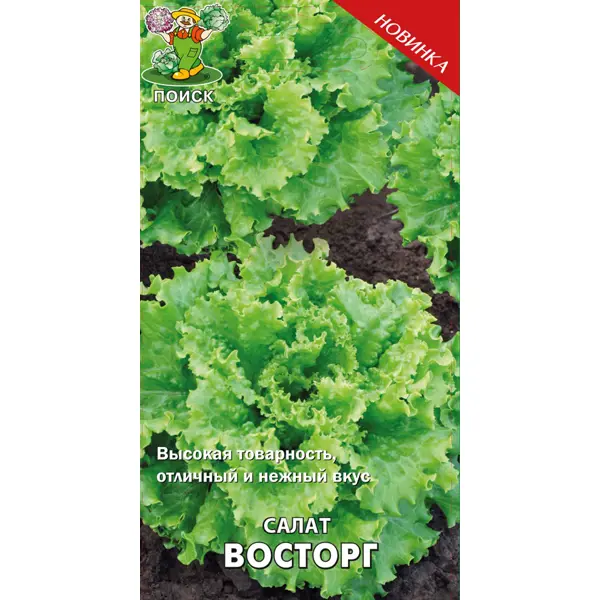 Семена Салат «Восторг» (А), 1 г