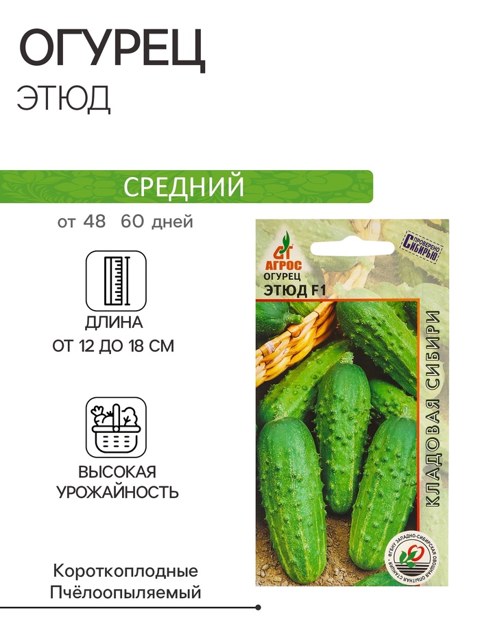 Семена Огурец F1 «Этюд», 10 шт., «Агрос»