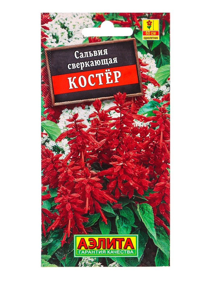 Семена цветов Сальвия Костер , Ц/П,0,1 г