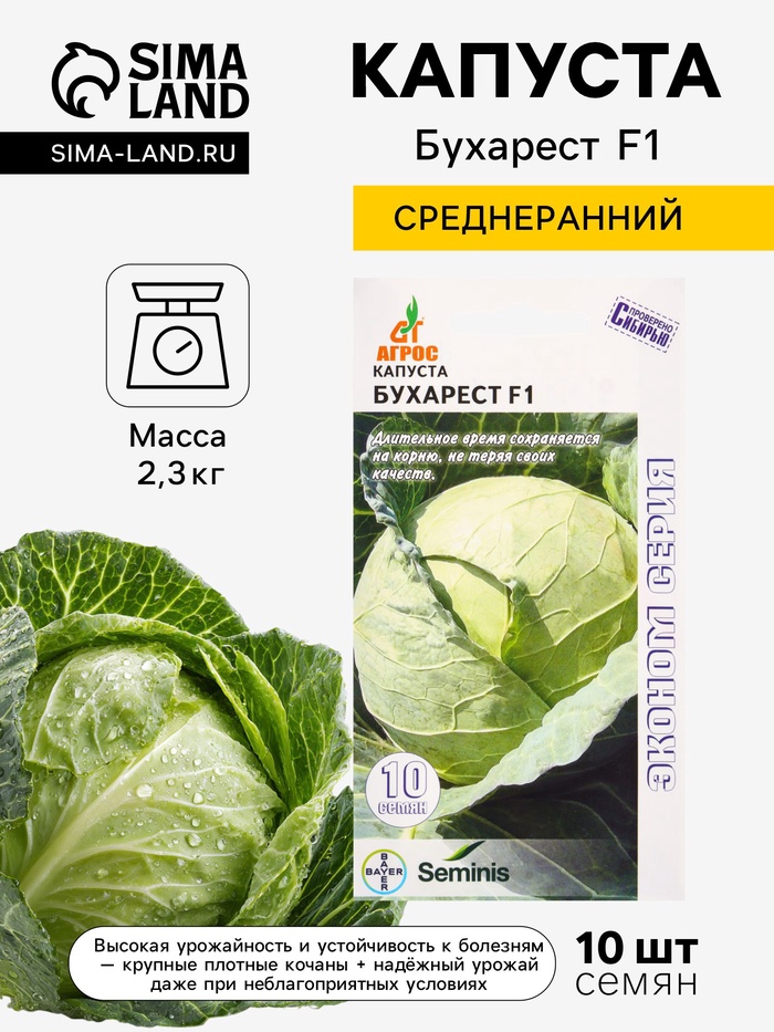 Семена Капуста «Бухарест», F1, 10 шт., «Агросс»