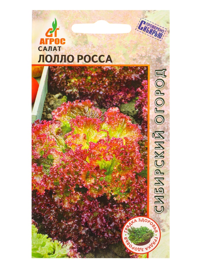 Семена Салат 