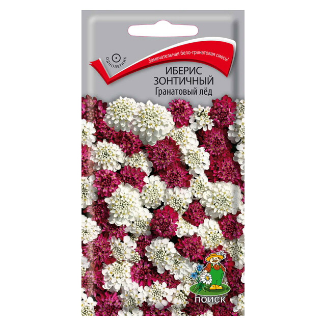 семена Иберис зонтичный Гранатовый лёд ПОИСК 0,1г